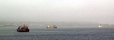 Russiske fabrikkskip på reden utenfor Torshavn. Skipene tar imot fangst fra fiskeflåten. De går aldri inn til selve Torshavn.