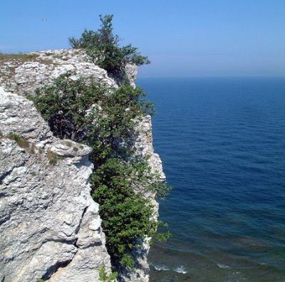 På østkysten - syd for Visby , finnes det klippeformasjoner.