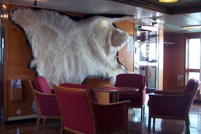 Dagens isbjørnskinn er det tredje som henger i 'isbjørnsalongen' De to første ble stjålet av souvernirjegere.