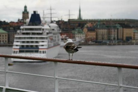Cruiseskipet Europa gestet også Stockholm.