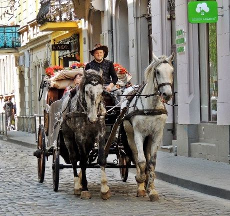 Skal det være en rundtur med hest og vogn i Lvivs gamle bykjerne? (Foto: Knut Noer jr.)