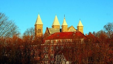 Viborgs berømte domkirke. Den er formet som en treskipet korskirke.De to høyeste tårnene er 42 meter høye , mens selve bygningen er 70 meter lang og 23 meter bred.